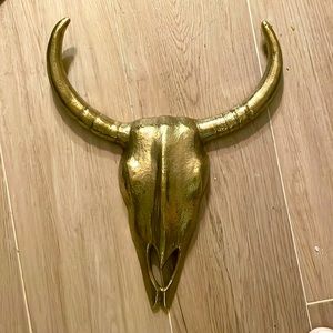 Bronze steer skull & horns 18” high